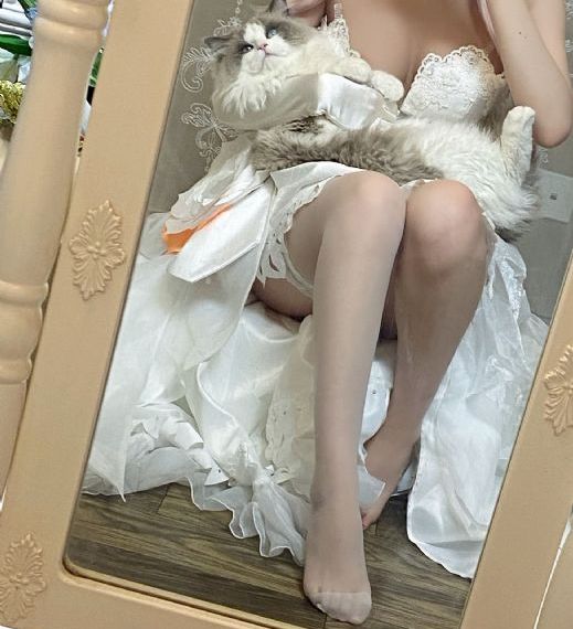 母乳片